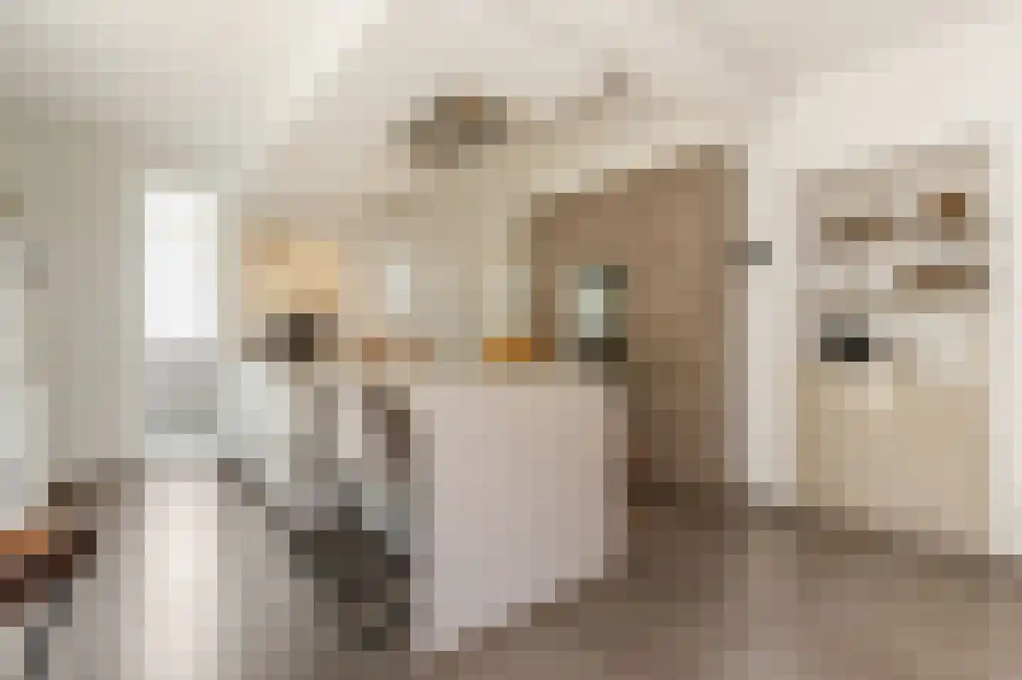 Marijnenlaan 7 Vlijmen thumbnail 13