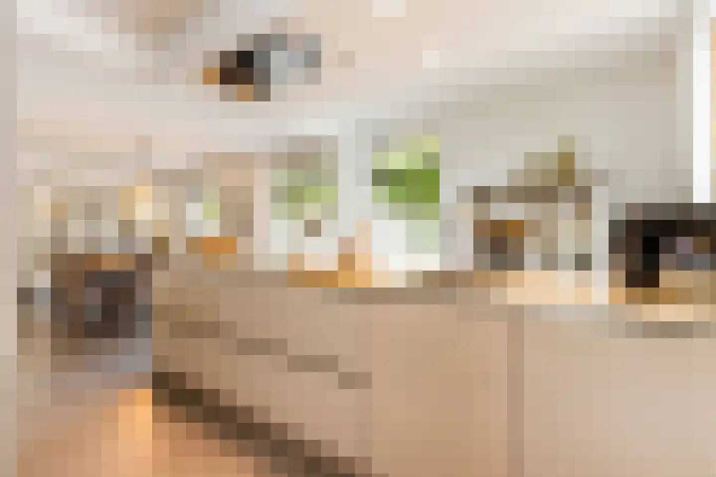 Marijnenlaan 7 Vlijmen thumbnail 14