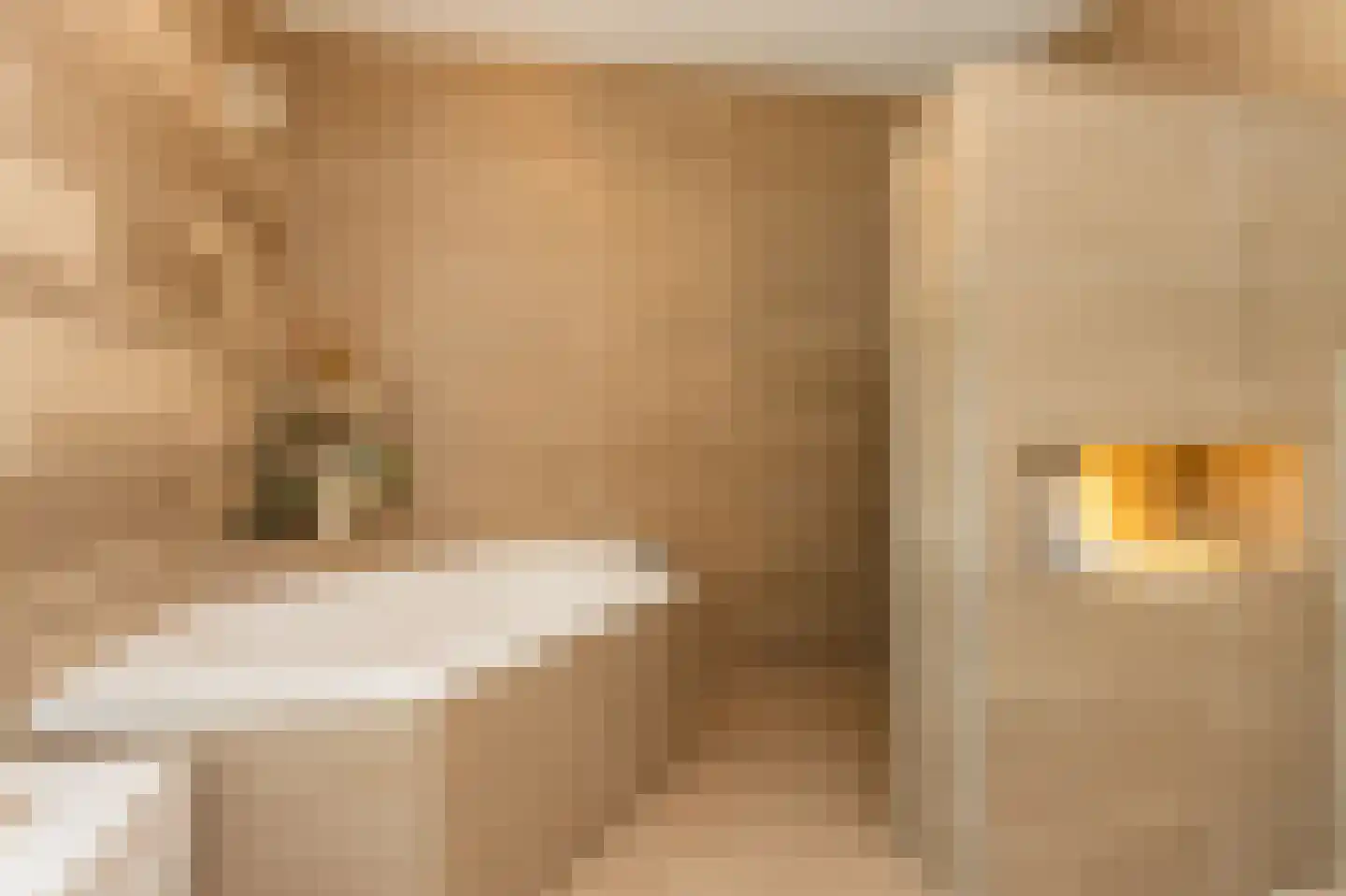 Marijnenlaan 7 Vlijmen thumbnail 19