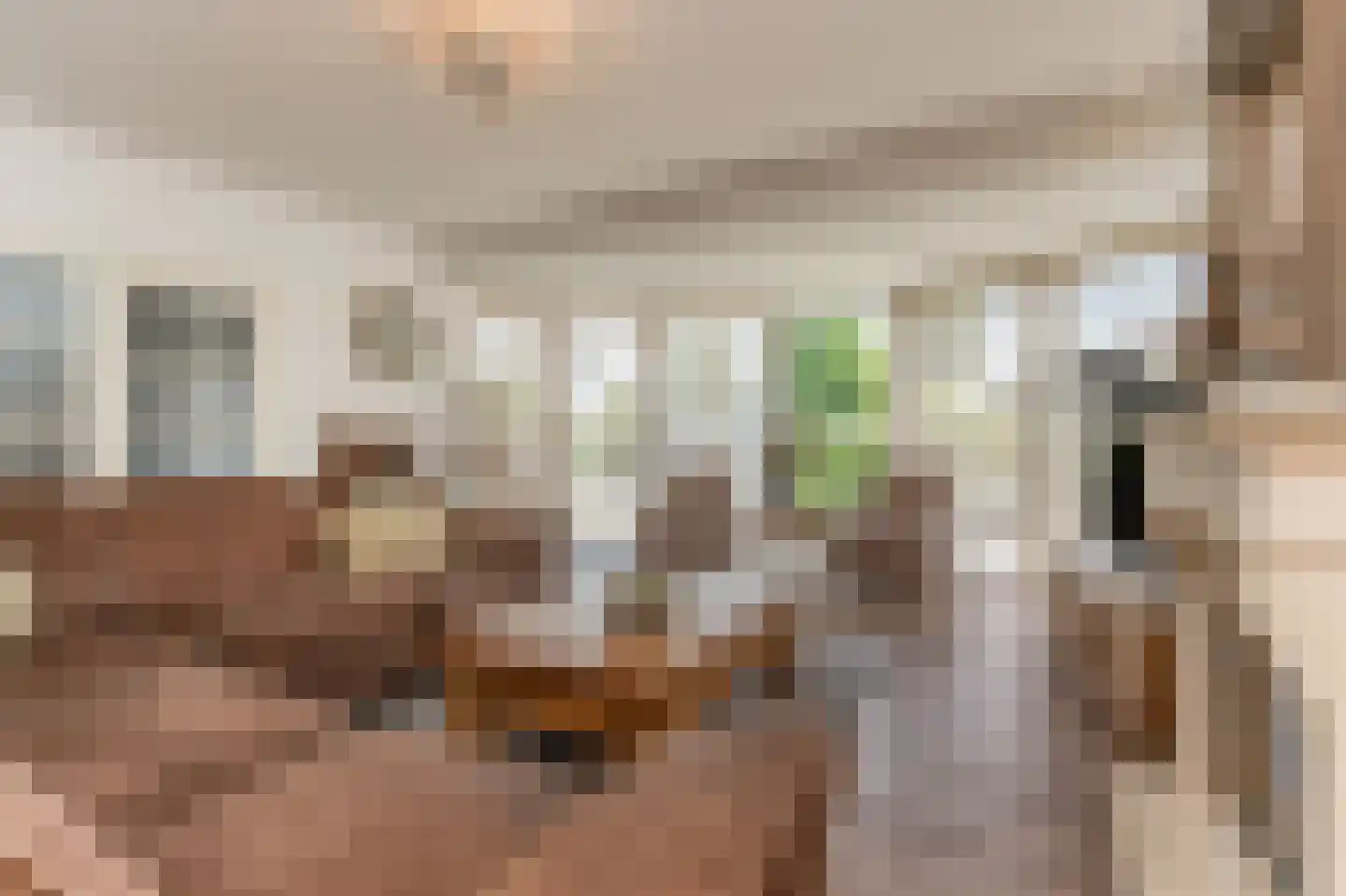 Marijnenlaan 7 Vlijmen foto 2
