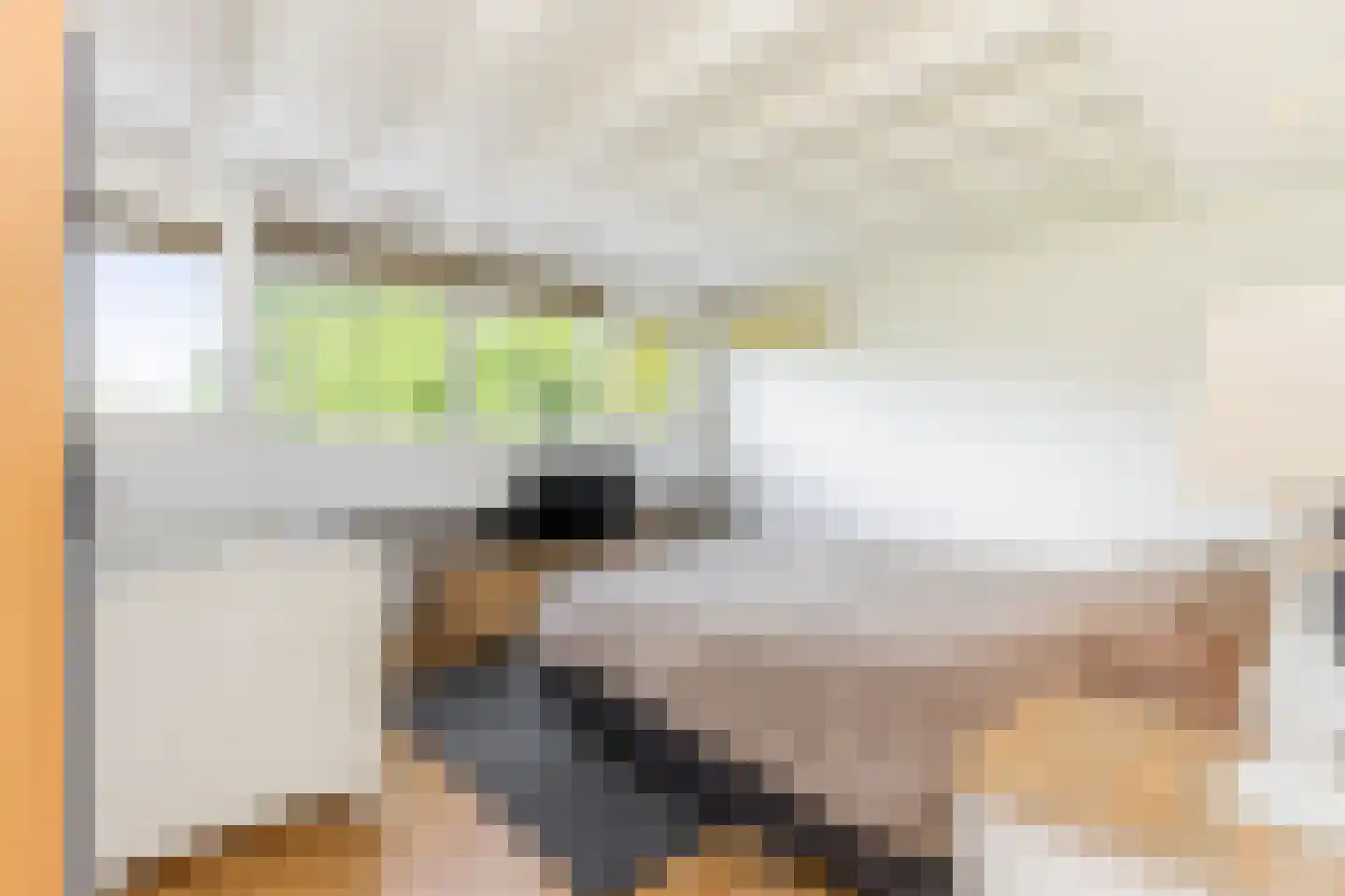 Marijnenlaan 7 Vlijmen thumbnail 25