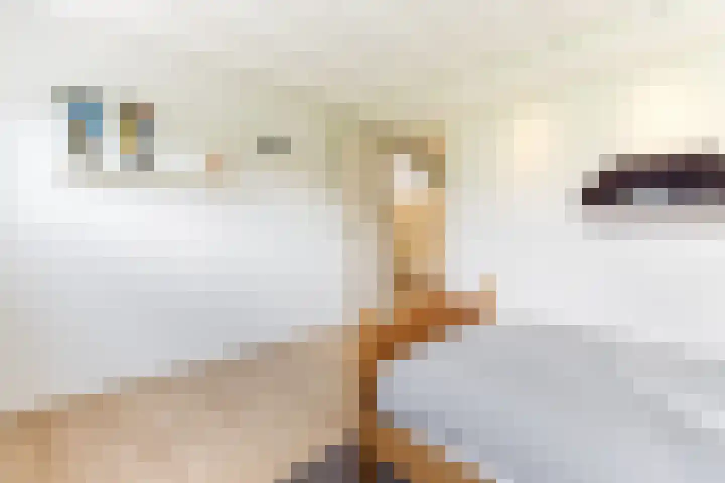Marijnenlaan 7 Vlijmen thumbnail 28