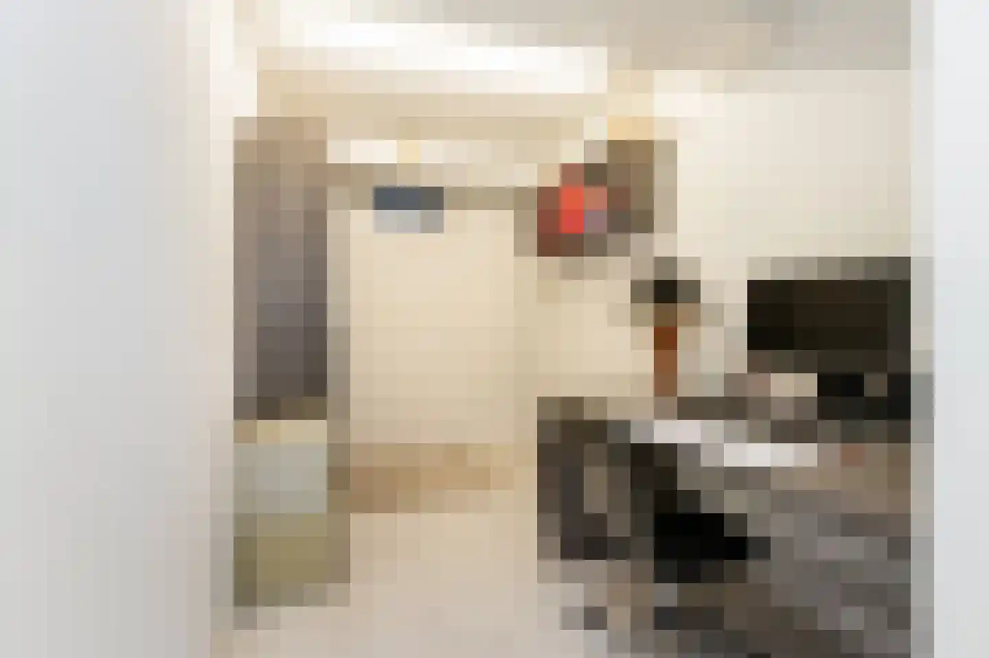 Marijnenlaan 7 Vlijmen thumbnail 31