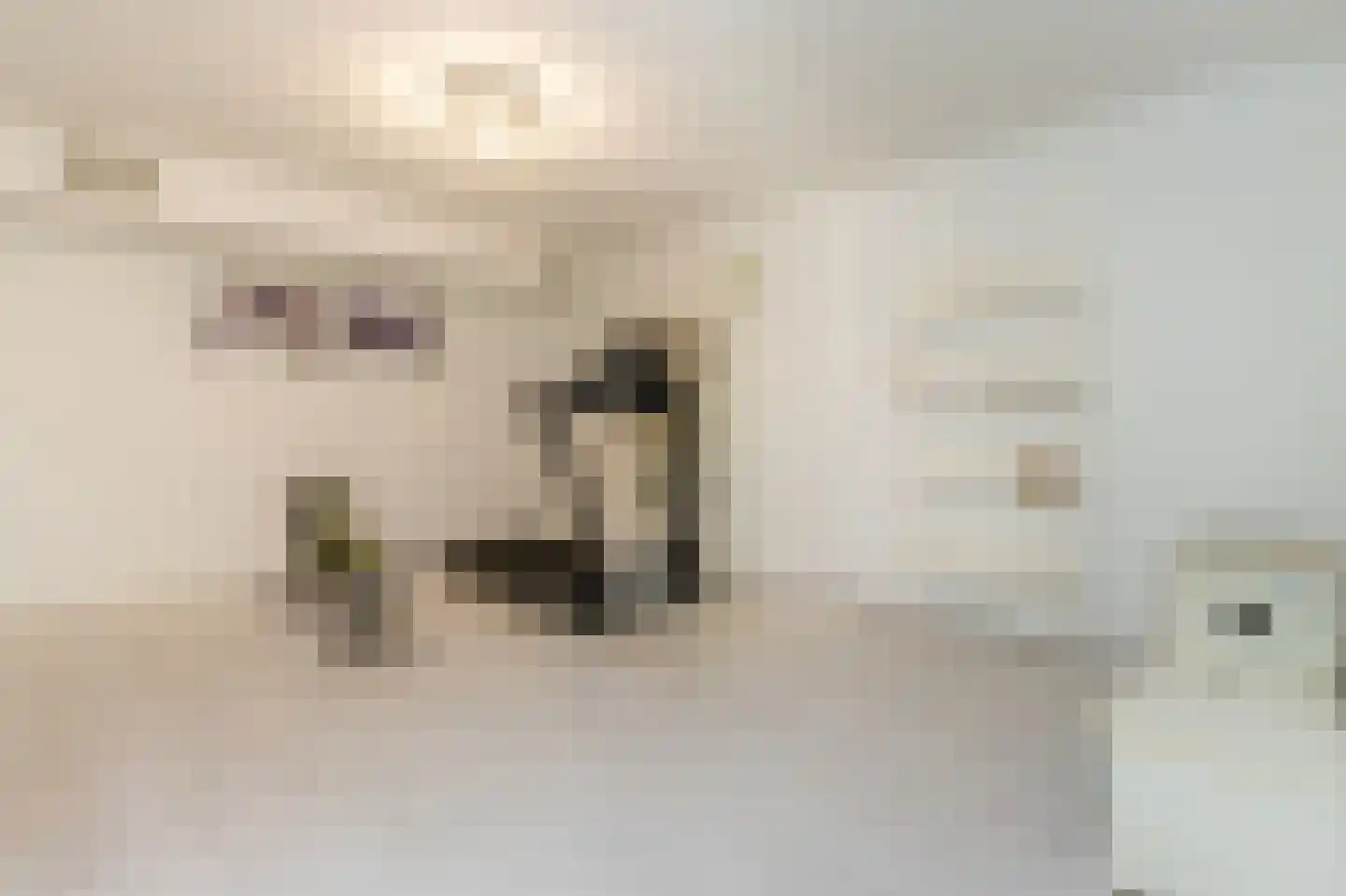 Marijnenlaan 7 Vlijmen thumbnail 33