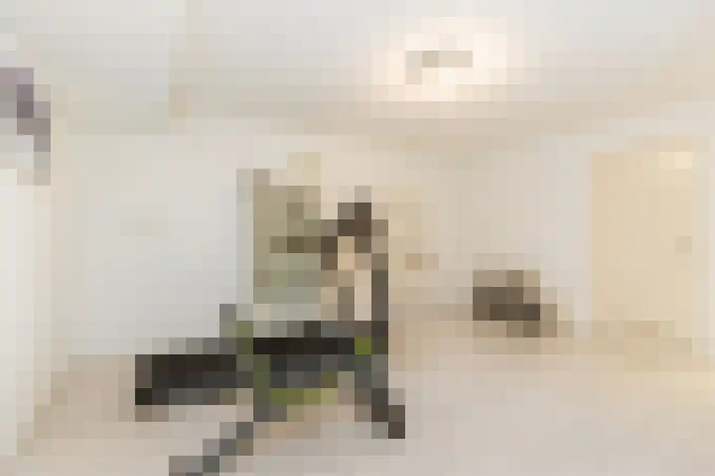 Marijnenlaan 7 Vlijmen thumbnail 34