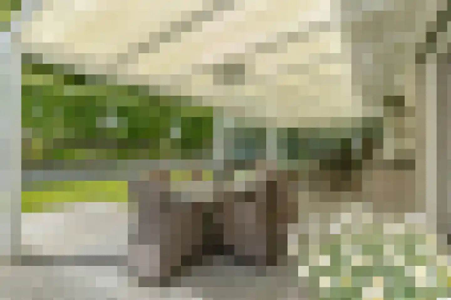 Marijnenlaan 7 Vlijmen thumbnail 38
