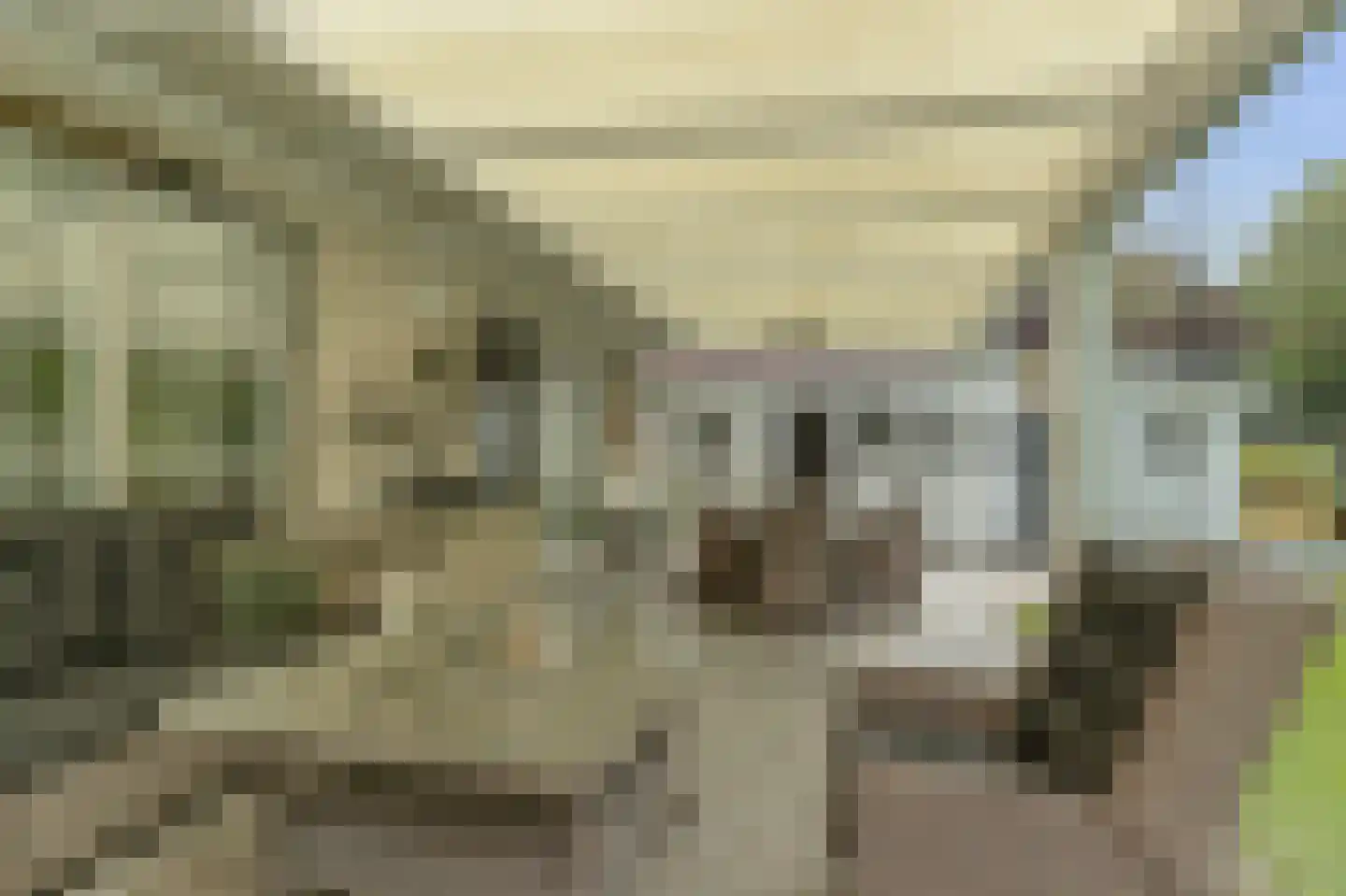 Marijnenlaan 7 Vlijmen thumbnail 39