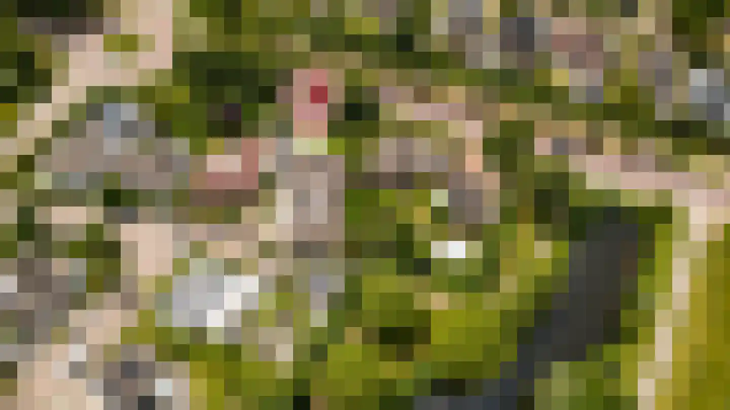 Marijnenlaan 7 Vlijmen thumbnail 44