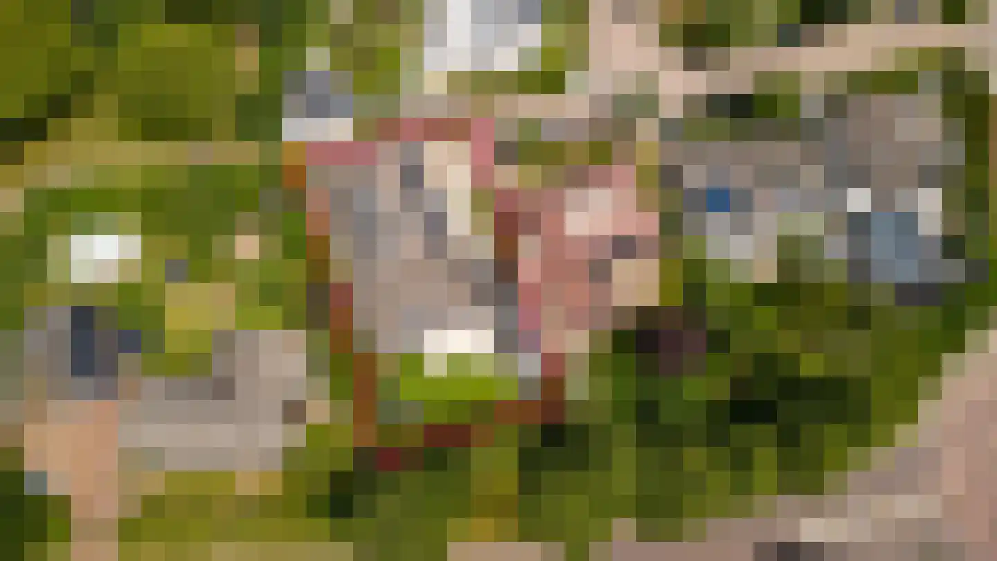 Marijnenlaan 7 Vlijmen thumbnail 45