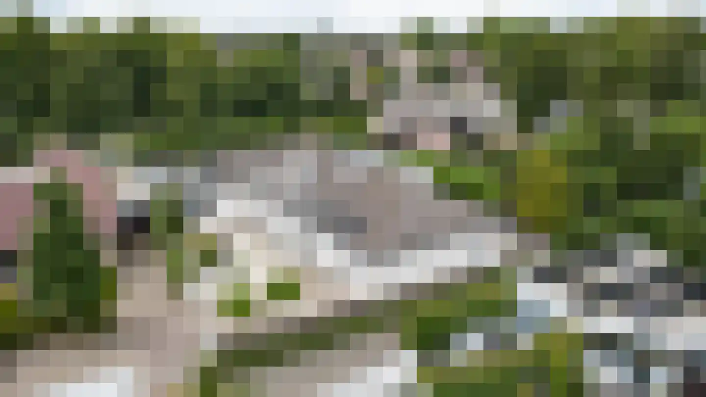 Marijnenlaan 7 Vlijmen thumbnail 46