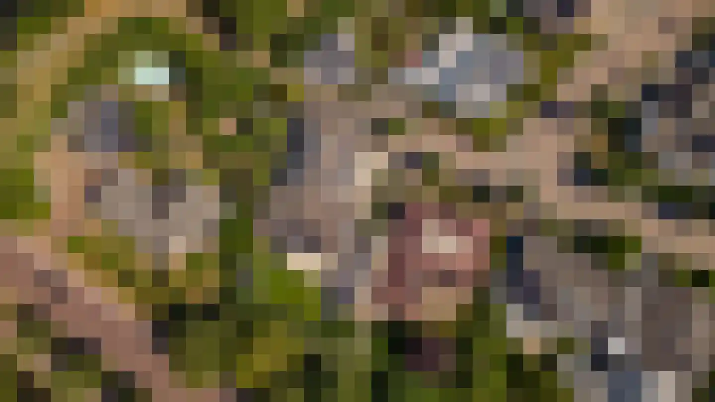 Marijnenlaan 7 Vlijmen thumbnail 46