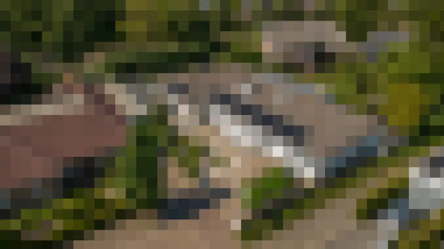Marijnenlaan 7 Vlijmen thumbnail 48