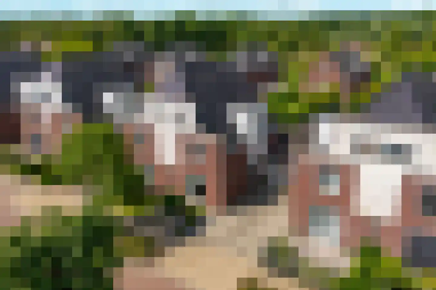 Marijnenstraat 19 Sint-Oedenrode thumbnail 53