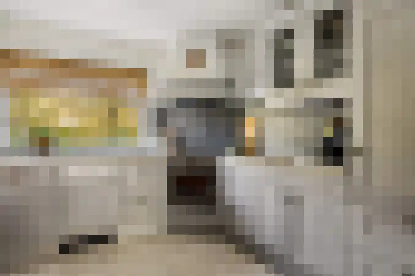 Marijnenstraat 21 Zwolle thumbnail 15