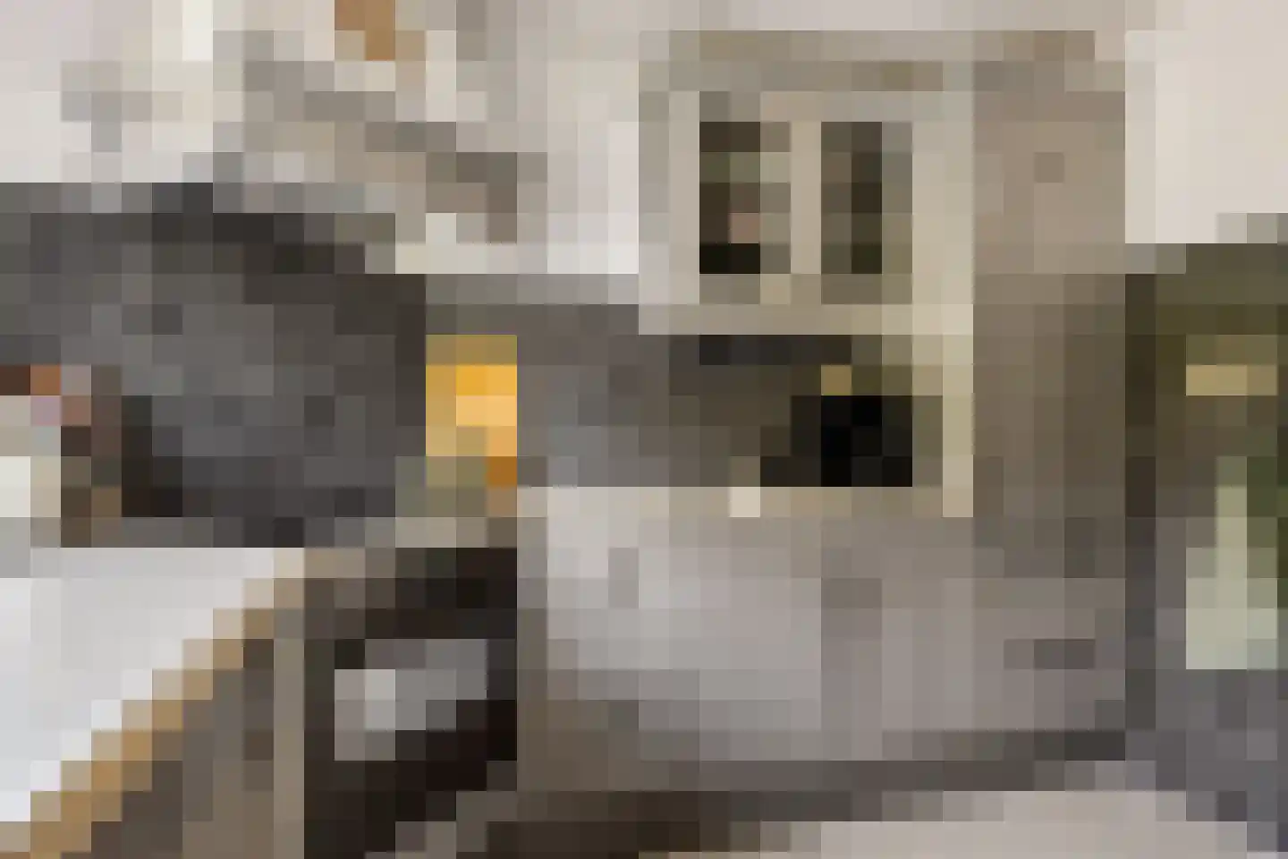 Marijnenstraat 21 Zwolle thumbnail 16
