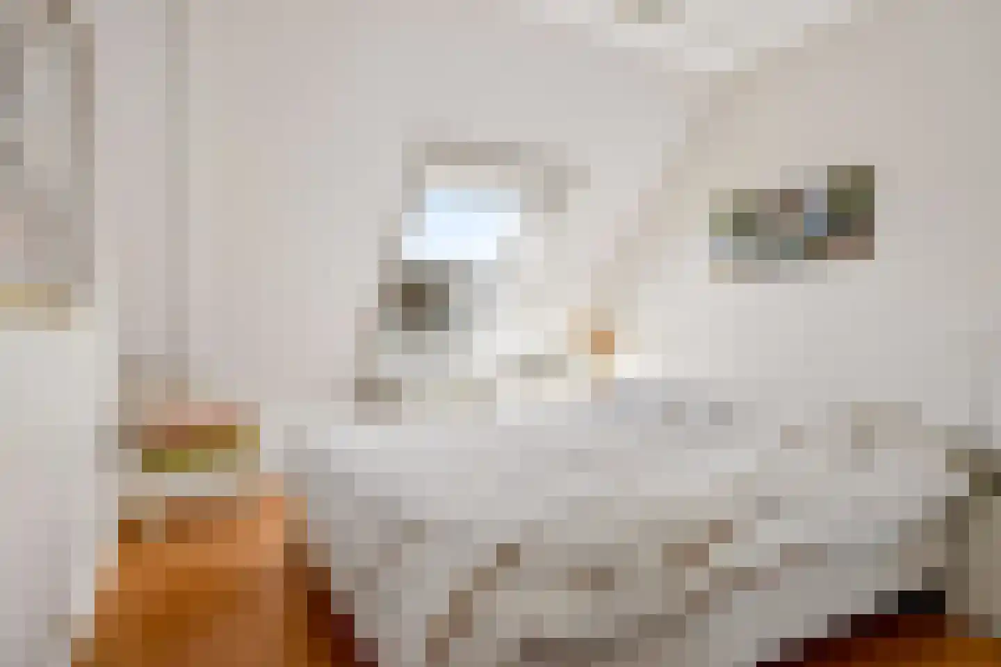 Marijnenstraat 21 Zwolle thumbnail 19