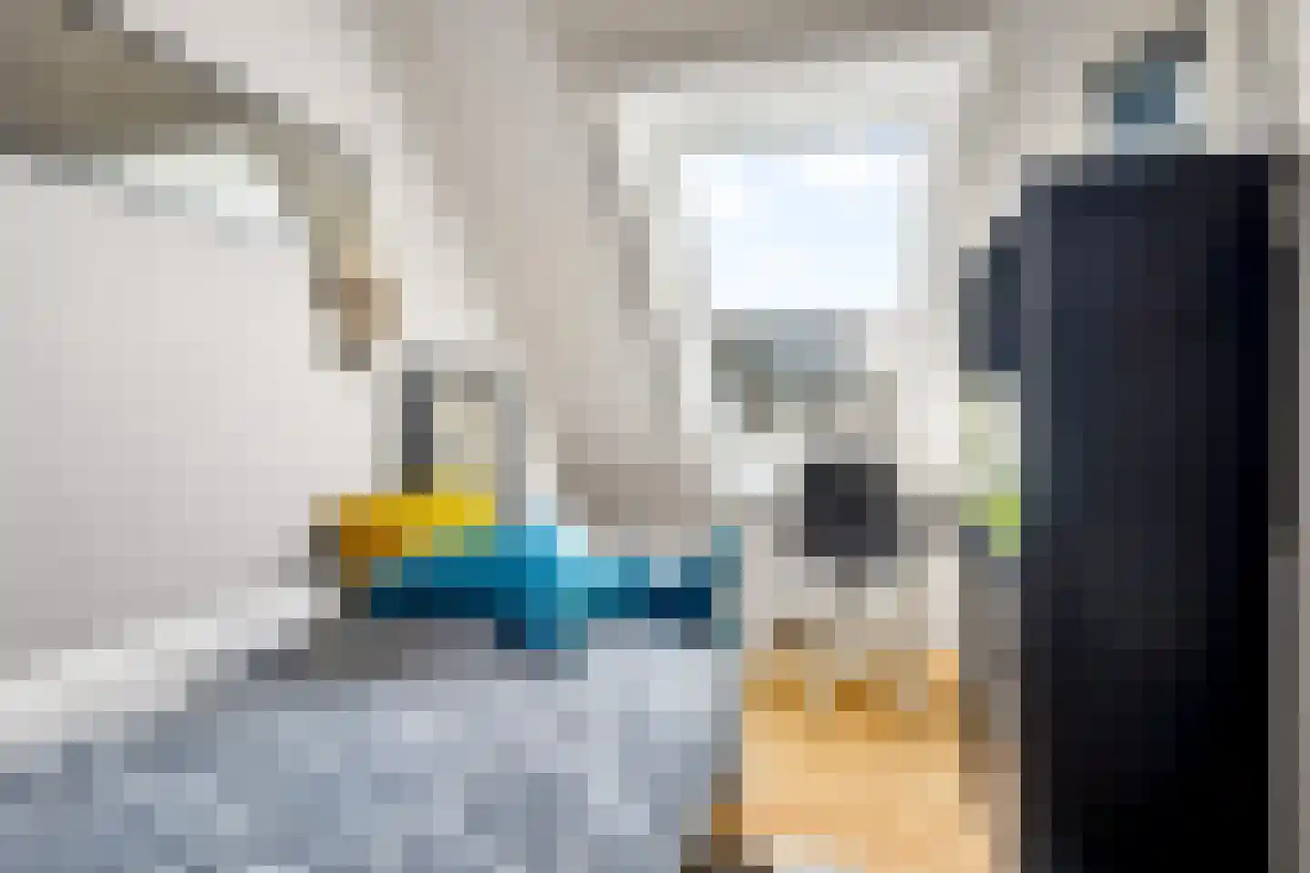 Marijnenstraat 21 Zwolle thumbnail 23
