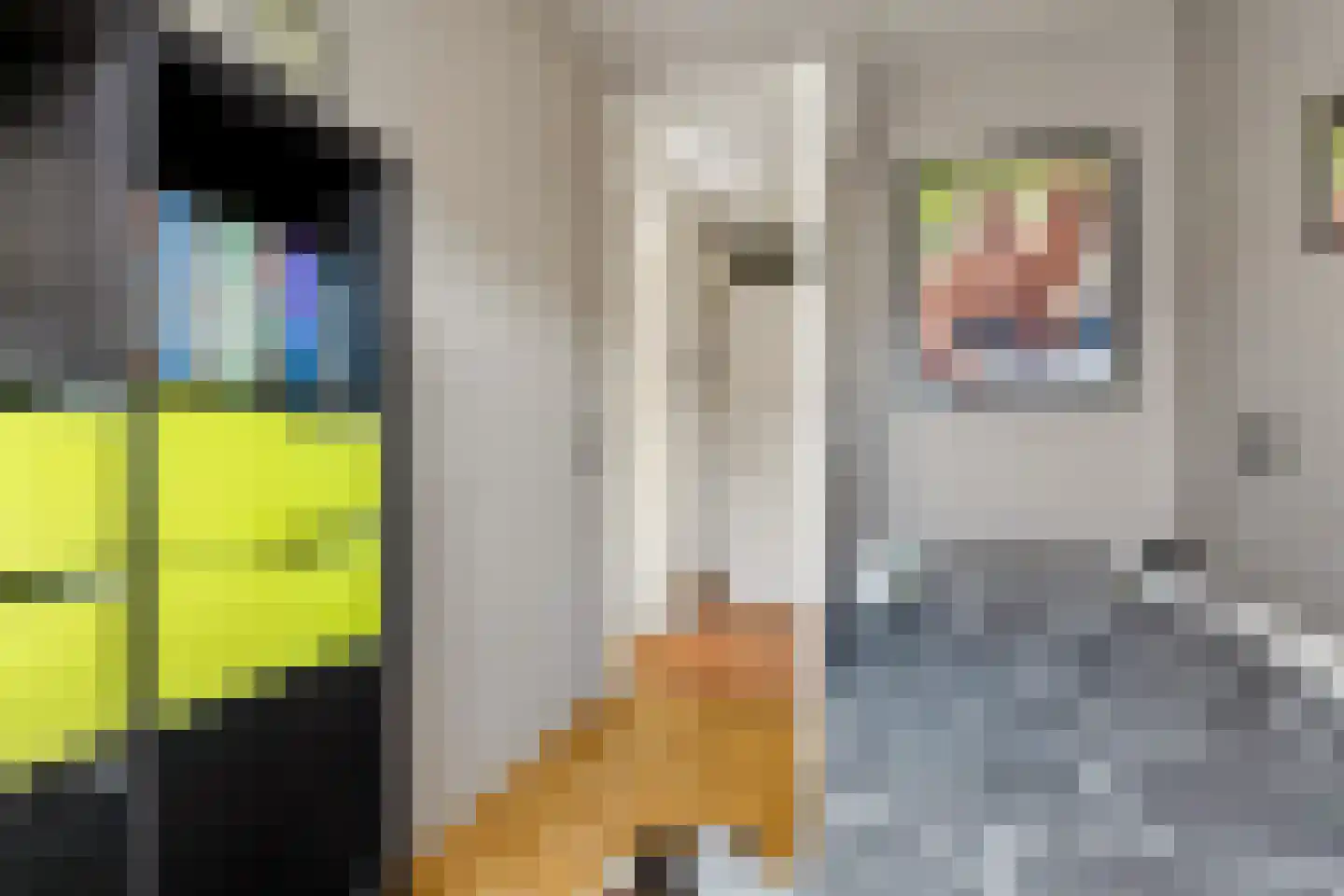 Marijnenstraat 21 Zwolle thumbnail 24