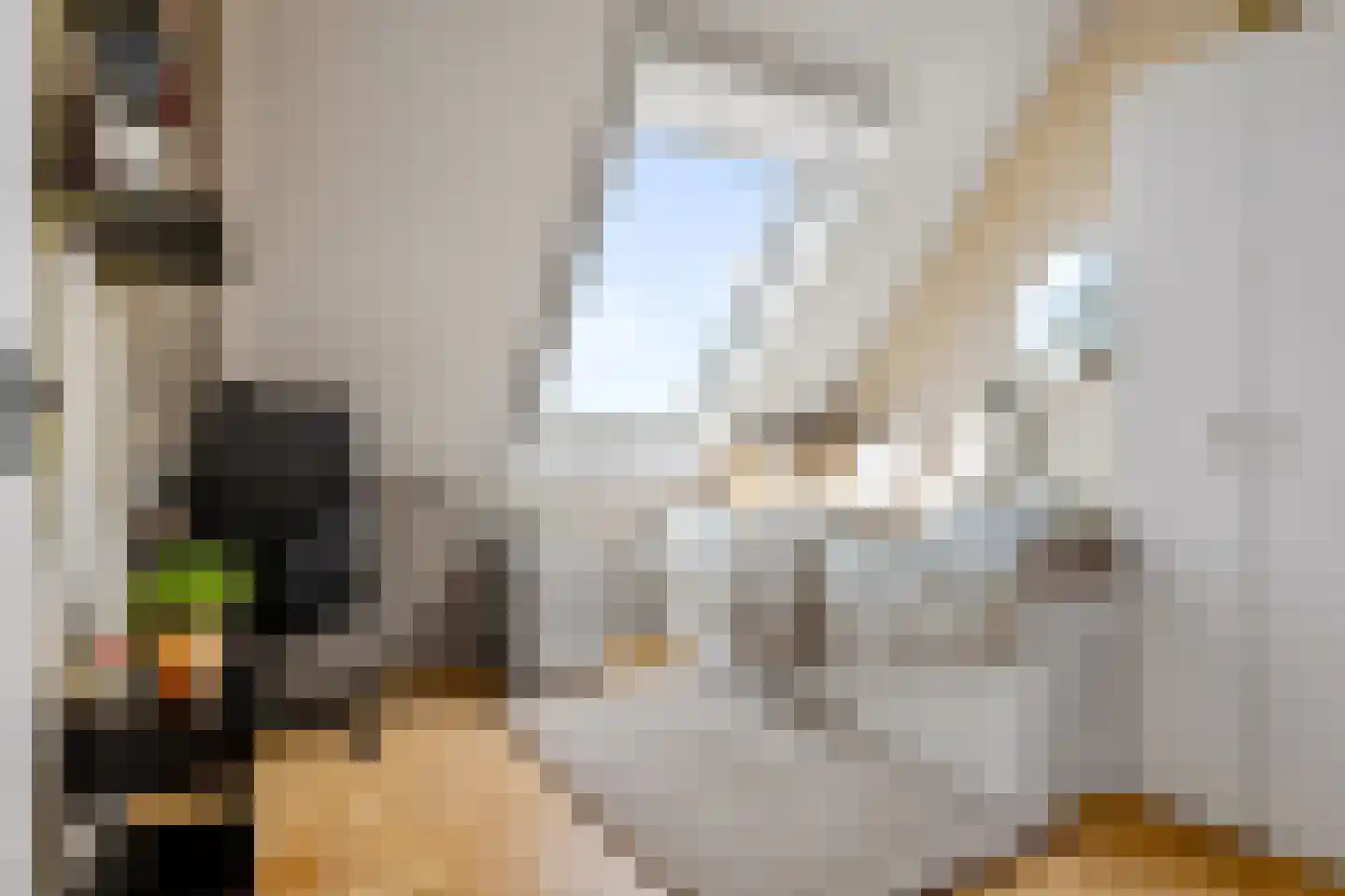 Marijnenstraat 21 Zwolle thumbnail 29