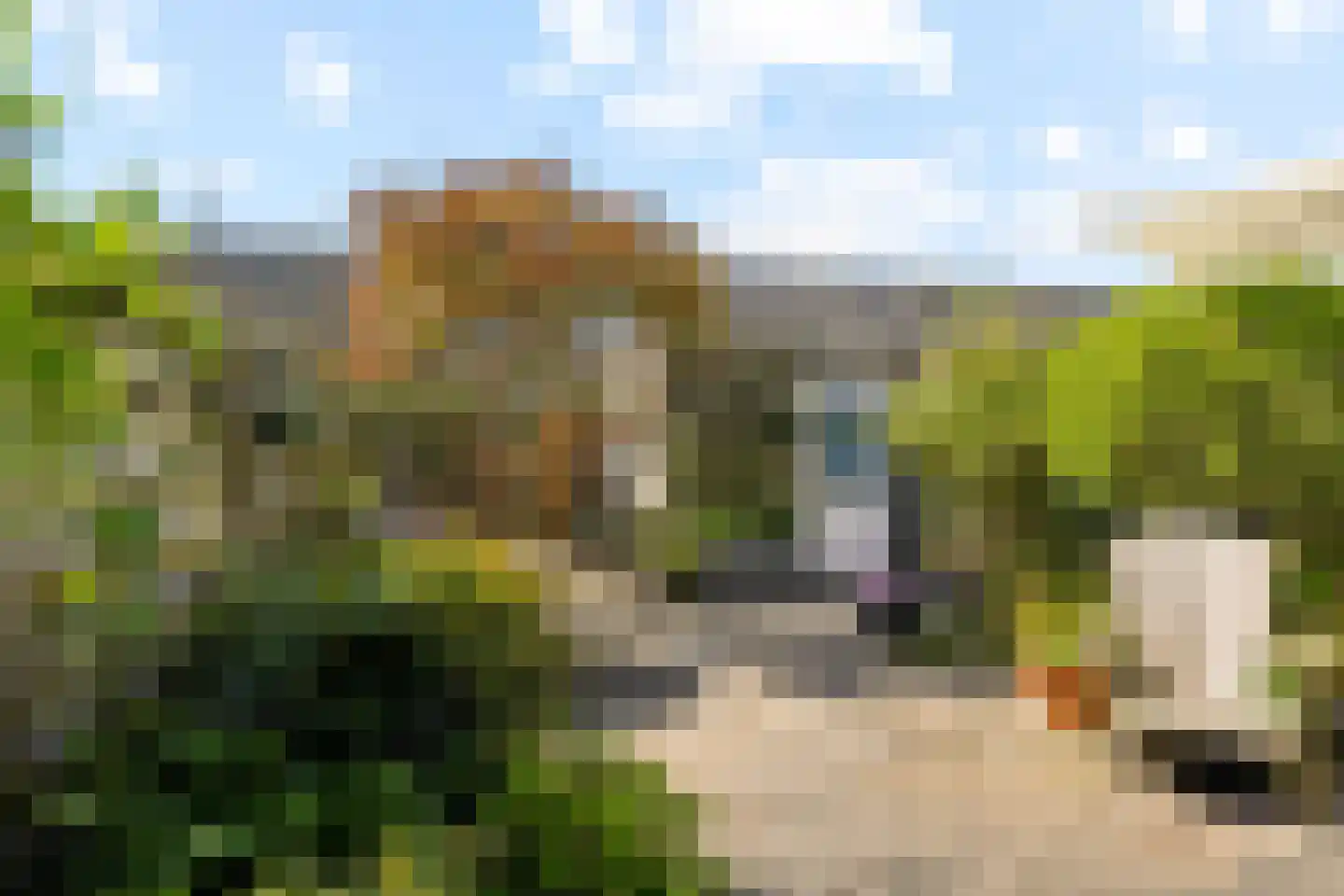 Marijnenstraat 21 Zwolle thumbnail 32