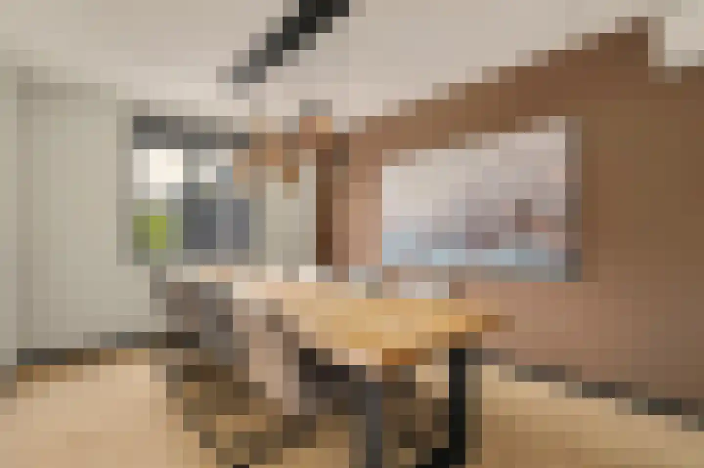 Mariken Jansdochterhof 2 Dordrecht thumbnail 22