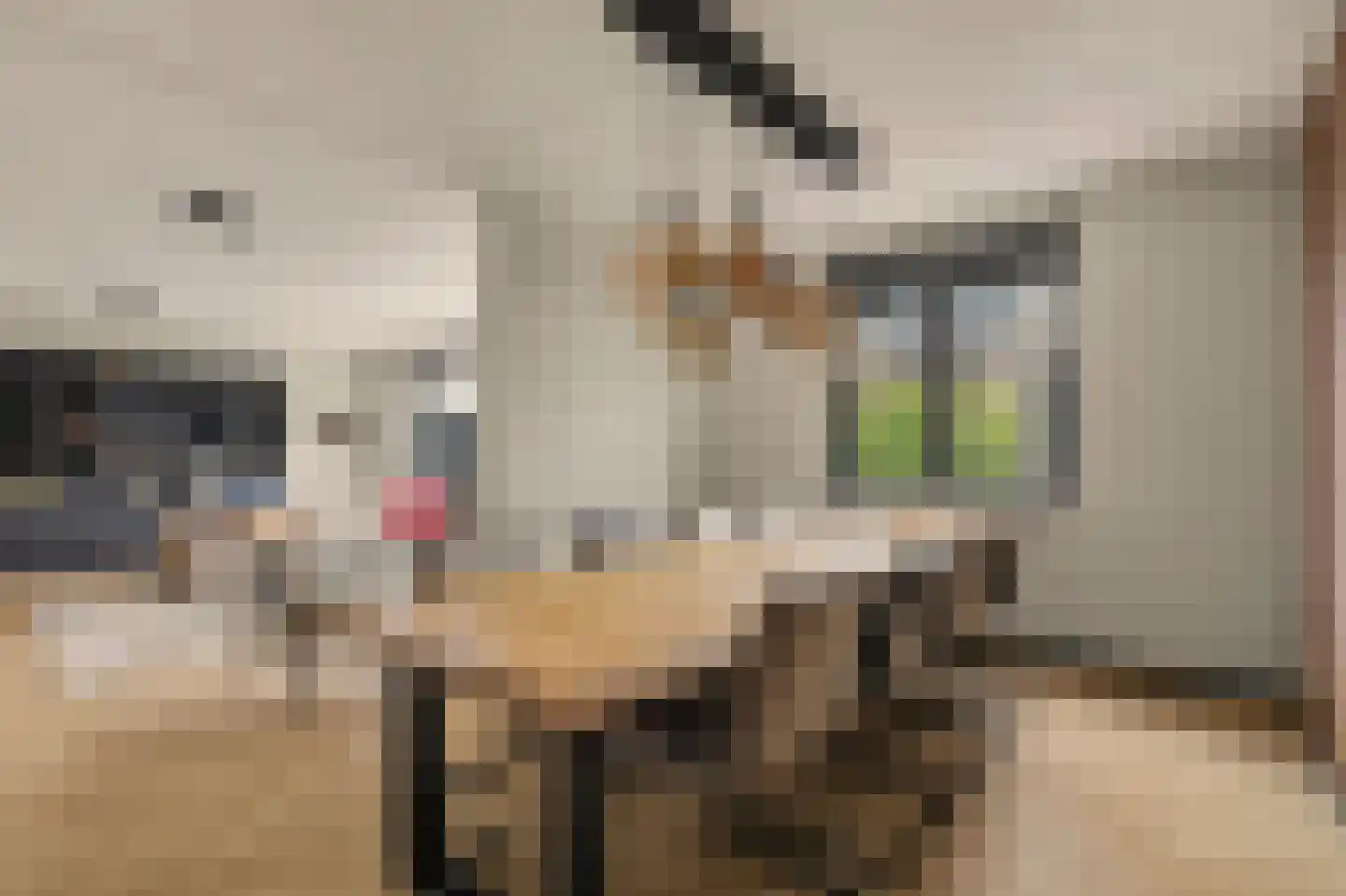 Mariken Jansdochterhof 2 Dordrecht thumbnail 23