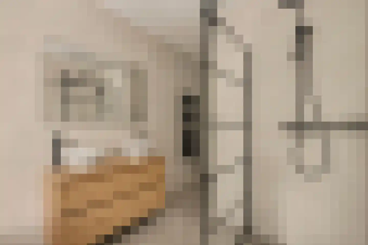 Mariken Jansdochterhof 2 Dordrecht thumbnail 42