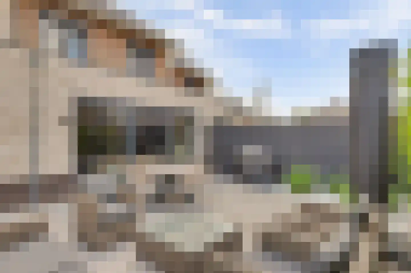 Mariken Jansdochterhof 2 Dordrecht thumbnail 54