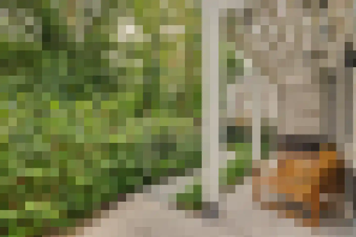 Mariken Jansdochterhof 2 Dordrecht thumbnail 57