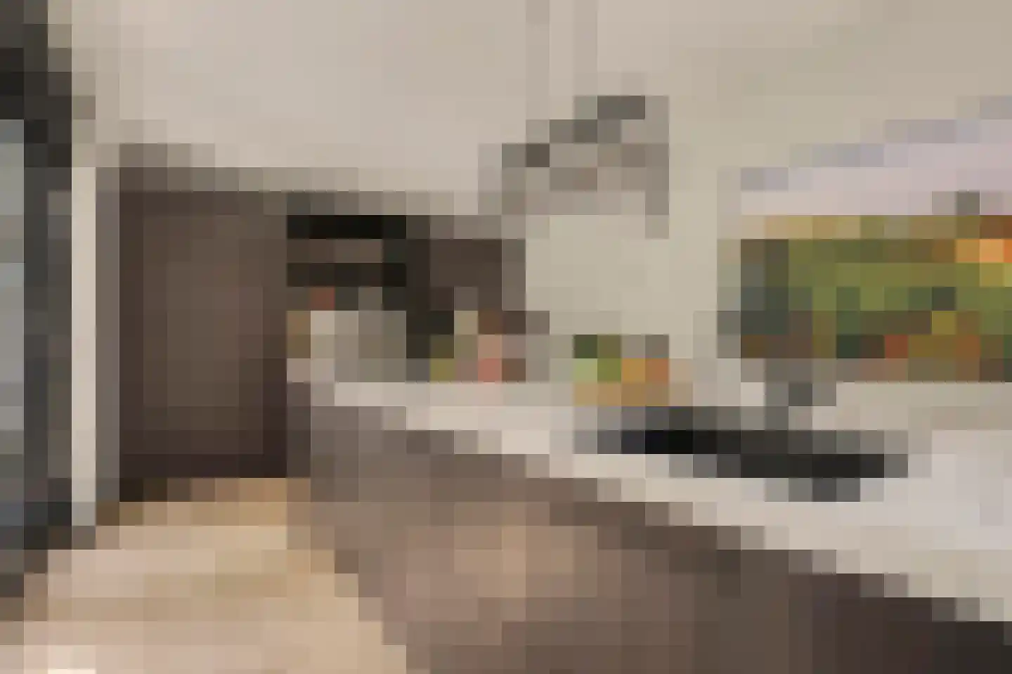 Mariken Jansdochterhof 2 Dordrecht thumbnail 6