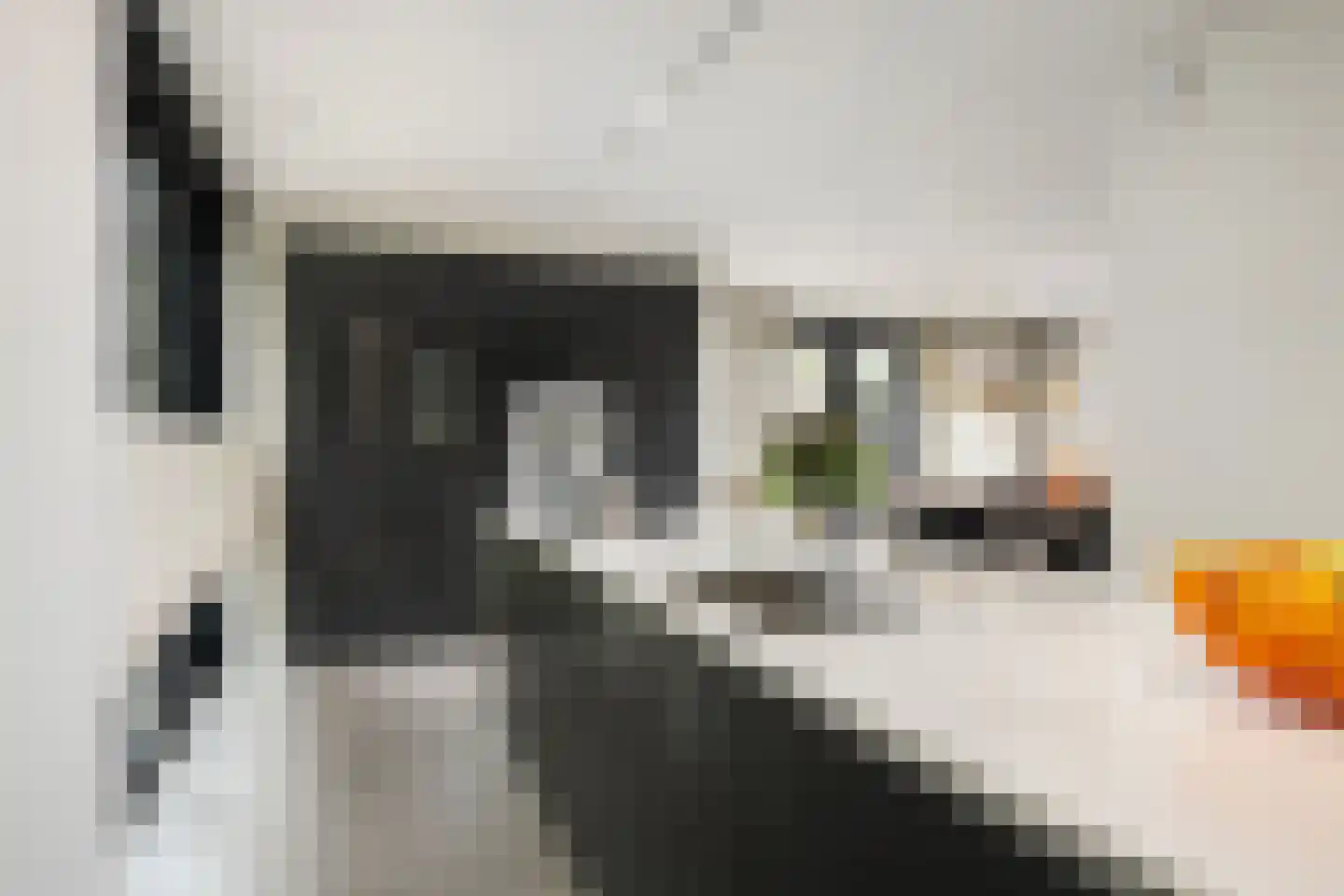 Mariken Jansdochterhof 6 Dordrecht thumbnail 21
