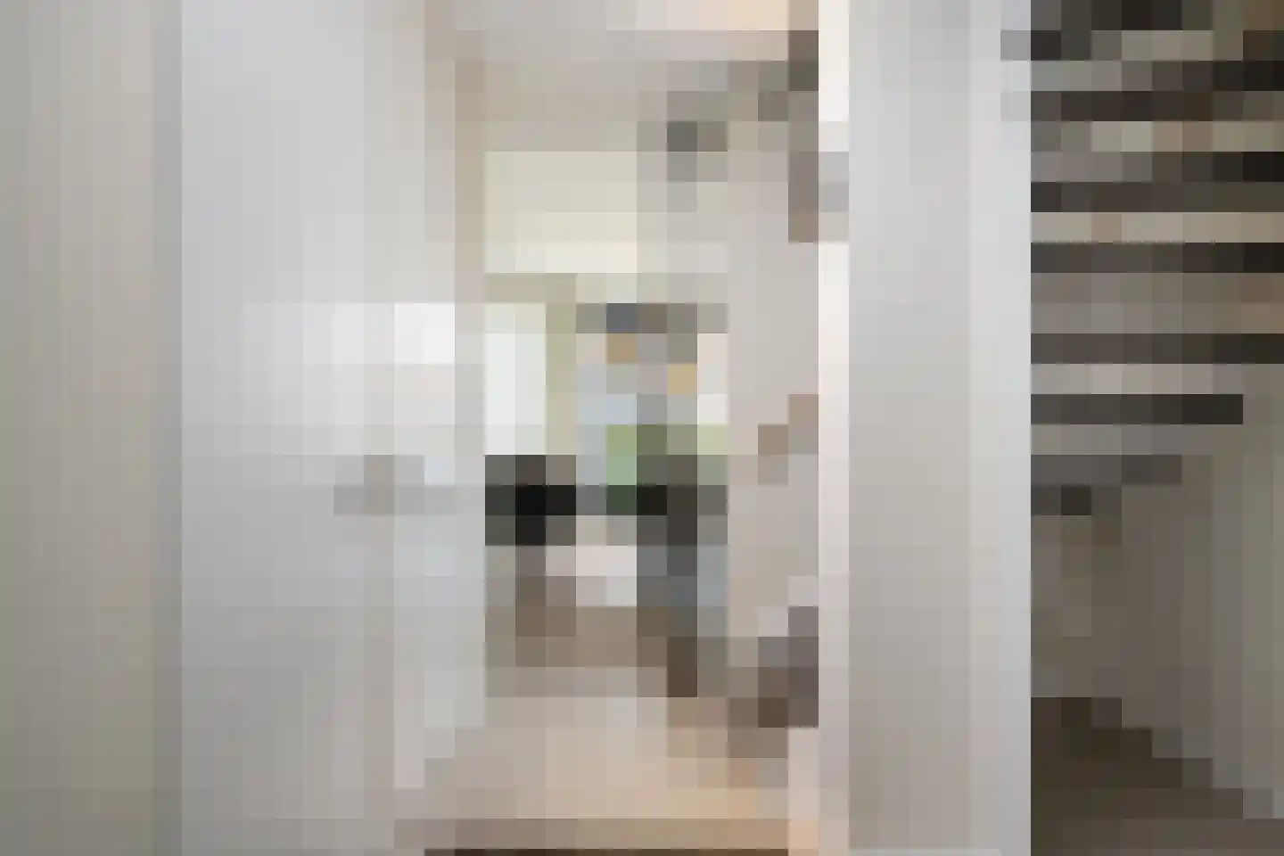 Mariken Jansdochterhof 6 Dordrecht thumbnail 27