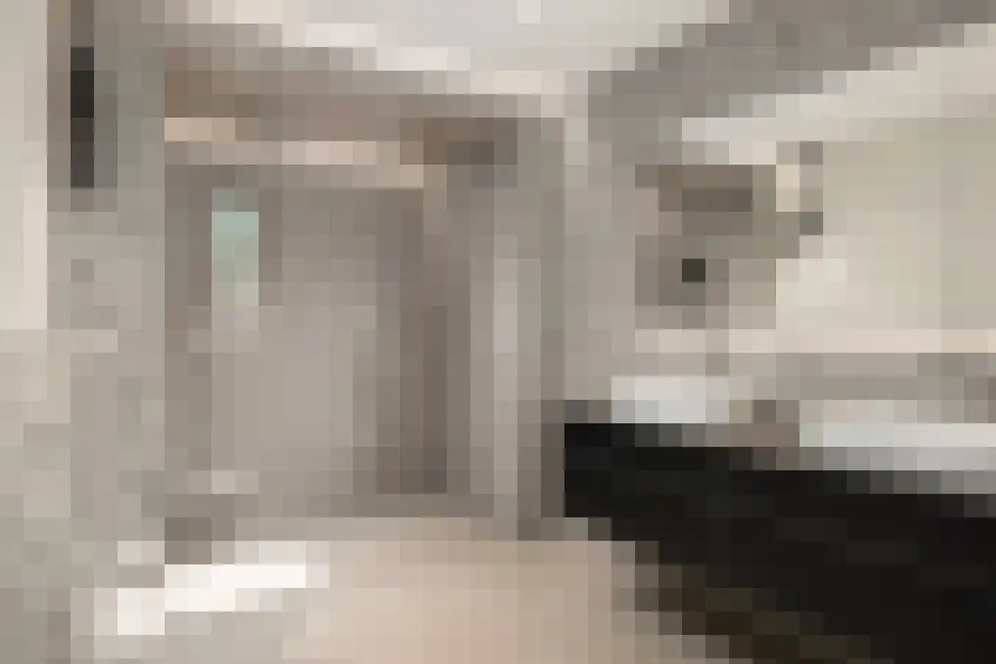 Mariken Jansdochterhof 6 Dordrecht thumbnail 41