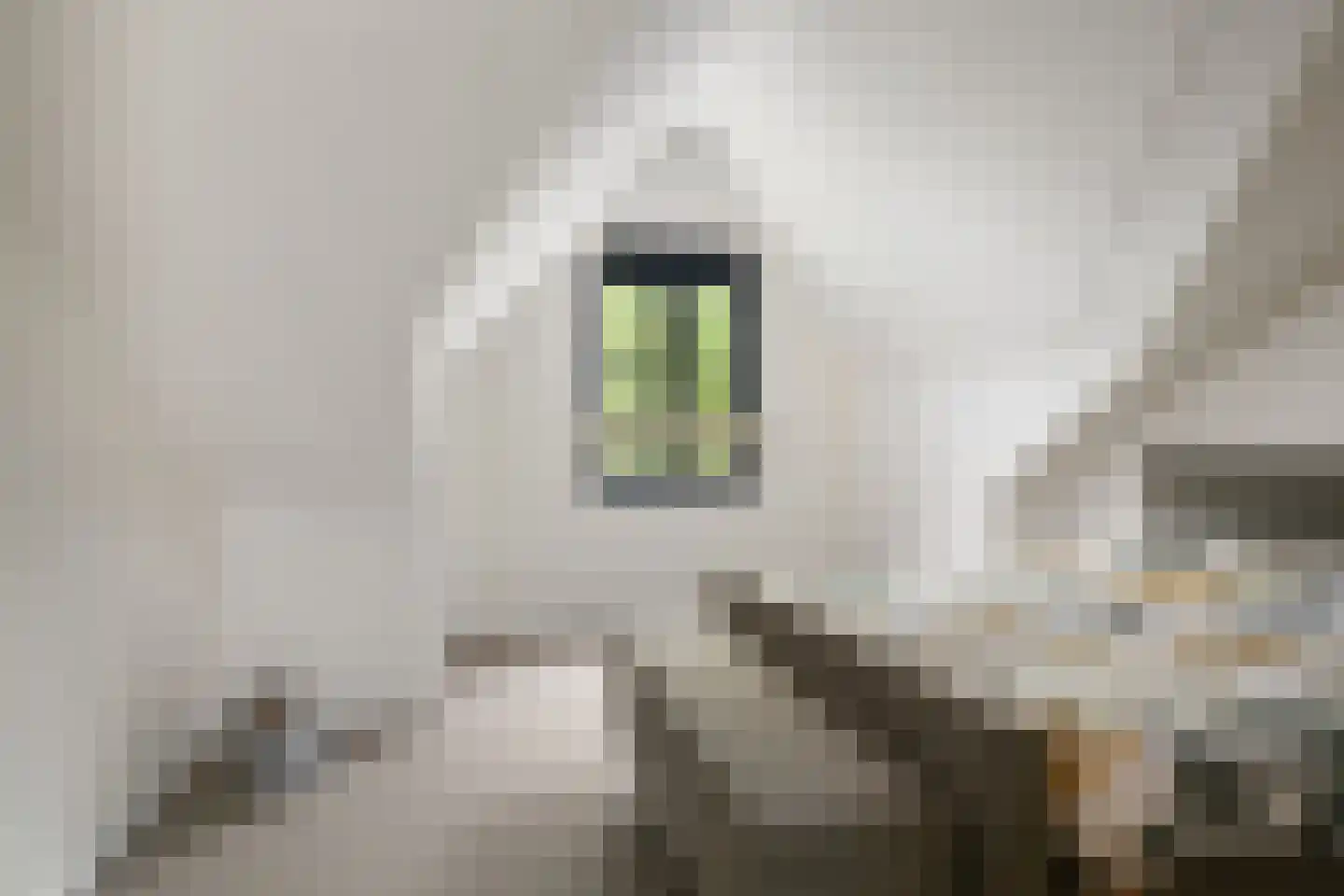 Mariken Jansdochterhof 6 Dordrecht thumbnail 45