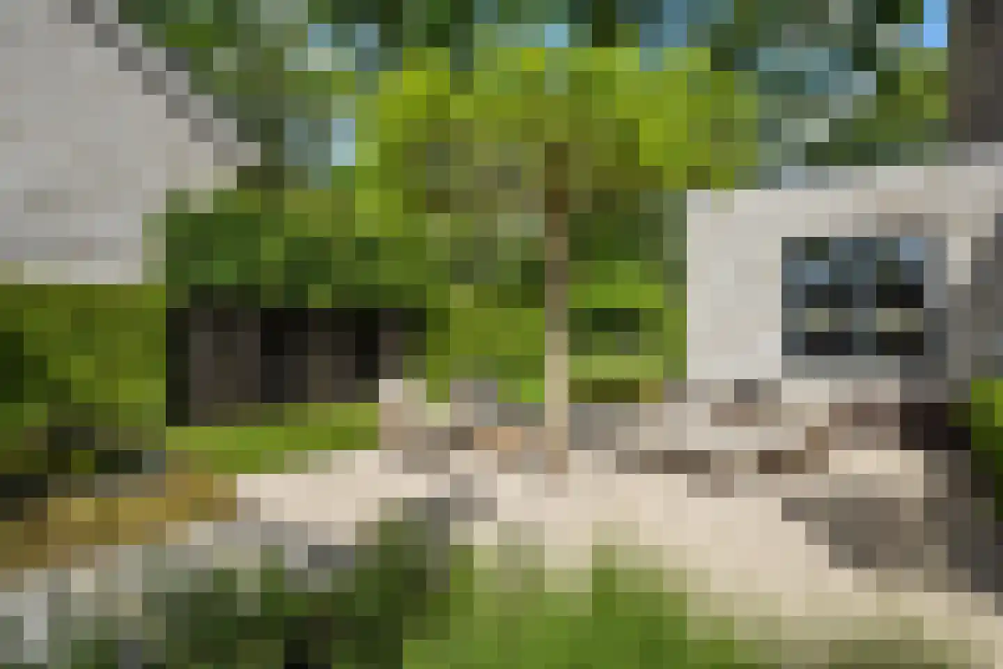 Mariken Jansdochterhof 6 Dordrecht thumbnail 52