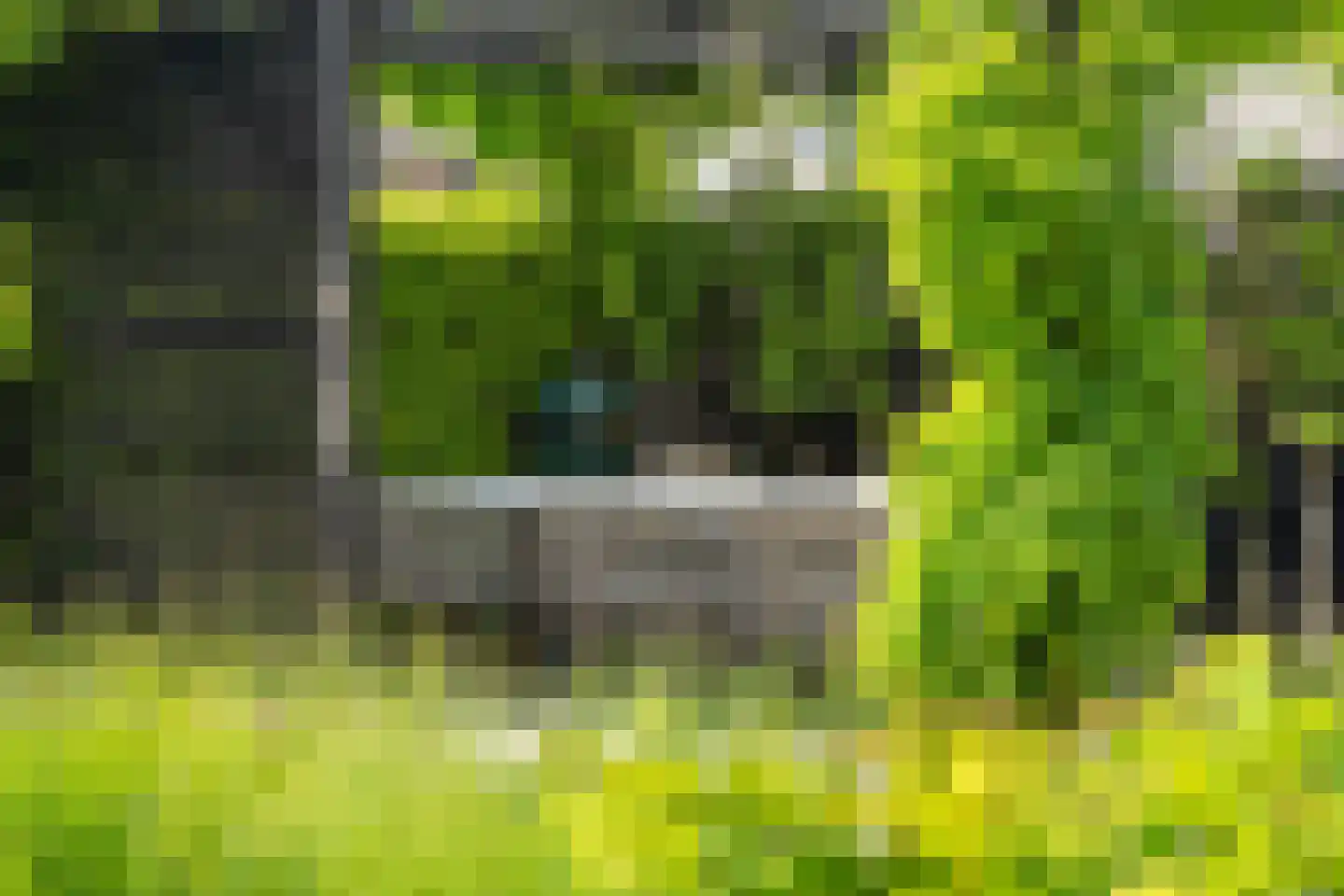 Mariken Jansdochterhof 6 Dordrecht thumbnail 57