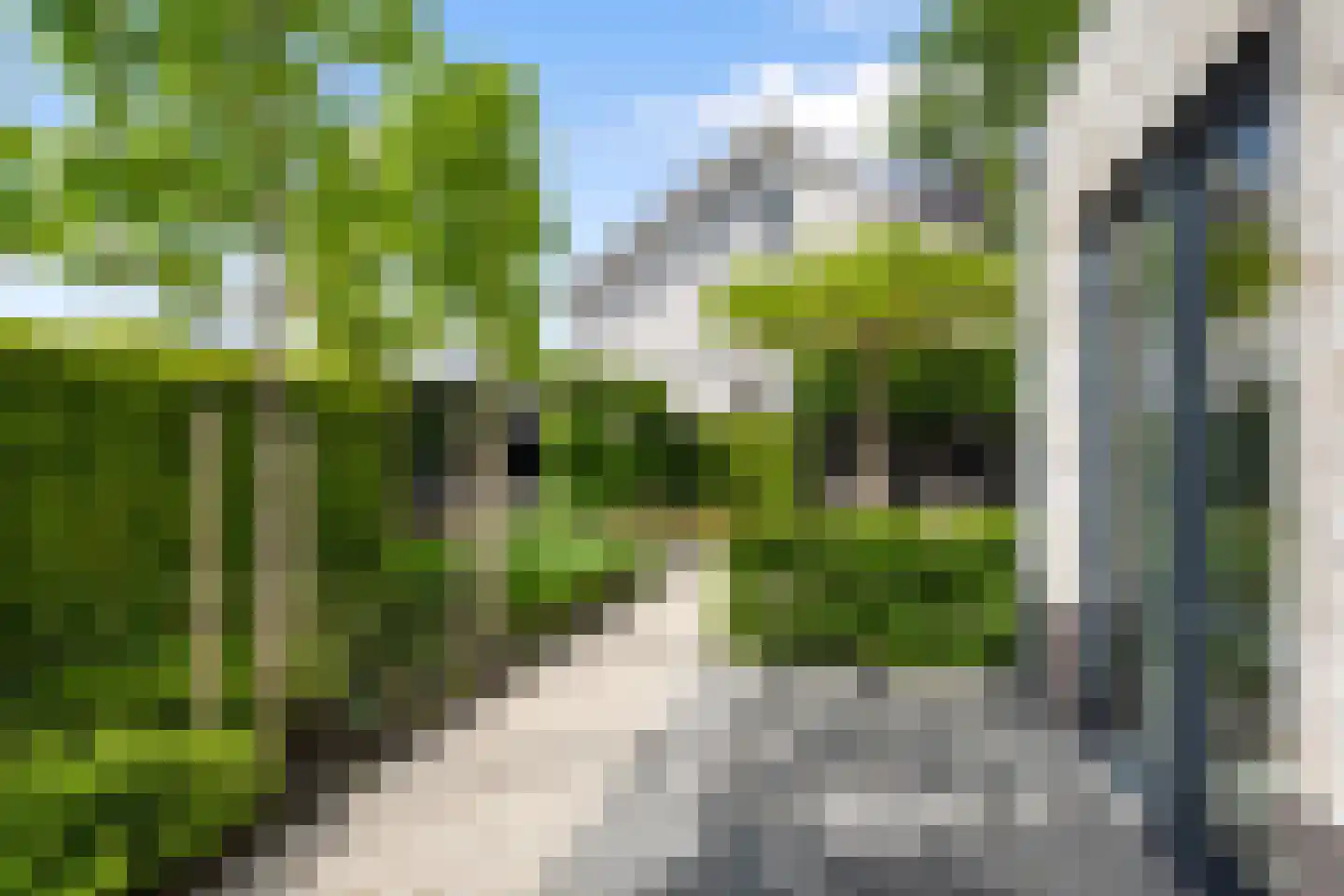 Mariken Jansdochterhof 6 Dordrecht thumbnail 61