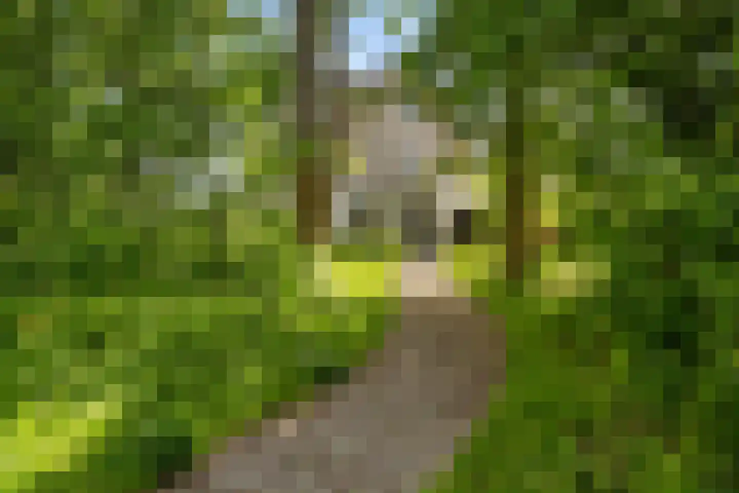 Mariken Jansdochterhof 6 Dordrecht thumbnail 69