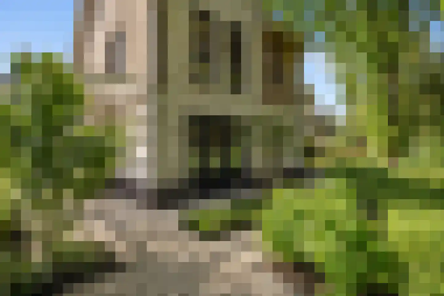Mariken Jansdochterhof 6 Dordrecht thumbnail 73