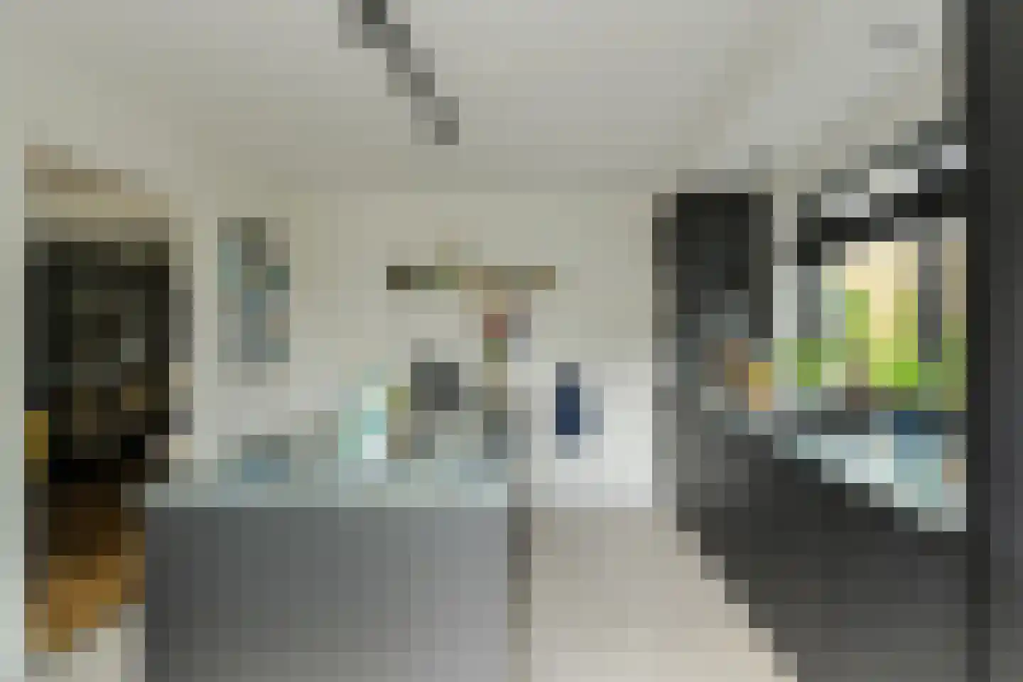 Mariken van Nimwegenstraat 3 Oosterhout thumbnail 12