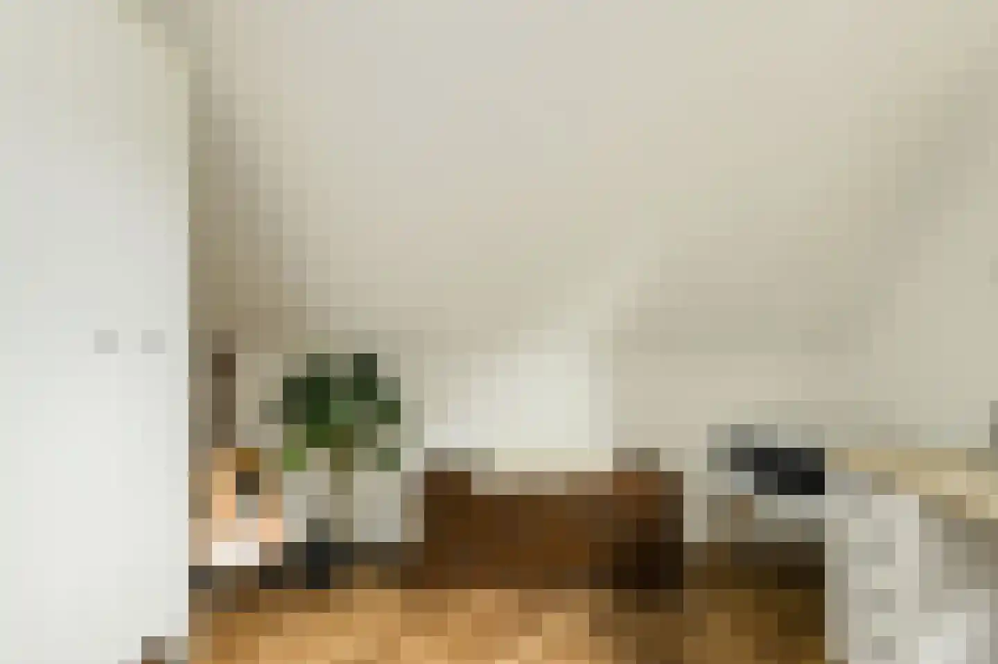 Mariken van Nimwegenstraat 3 Oosterhout thumbnail 30