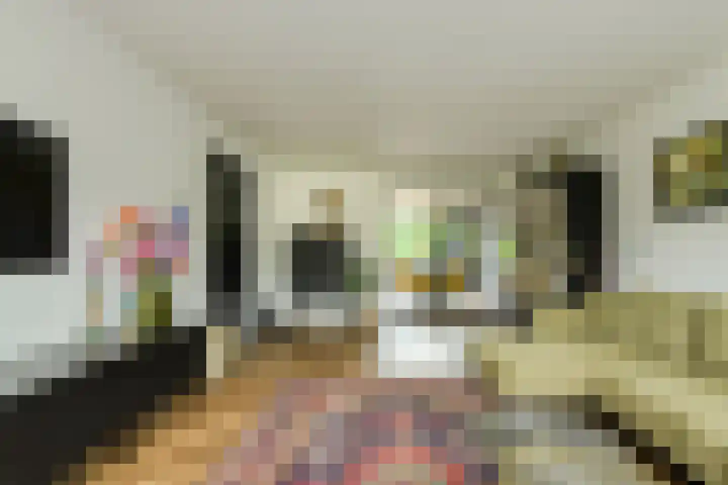 Mariken van Nimwegenstraat 3 Oosterhout thumbnail 4