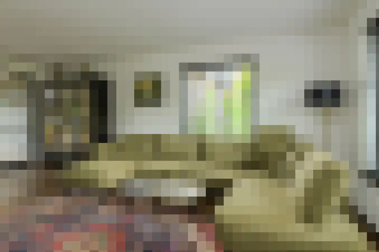 Mariken van Nimwegenstraat 3 Oosterhout thumbnail 5