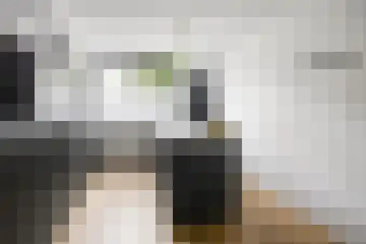 Marimba 36 Kampen thumbnail 12