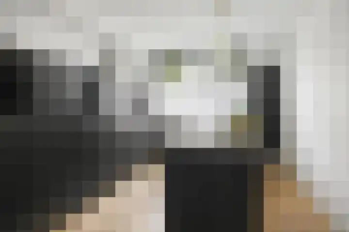 Marimba 36 Kampen thumbnail 13