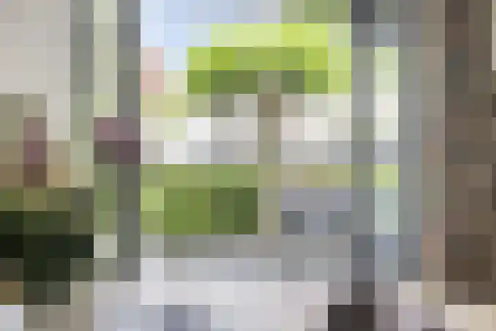 Marimba 36 Kampen thumbnail 16