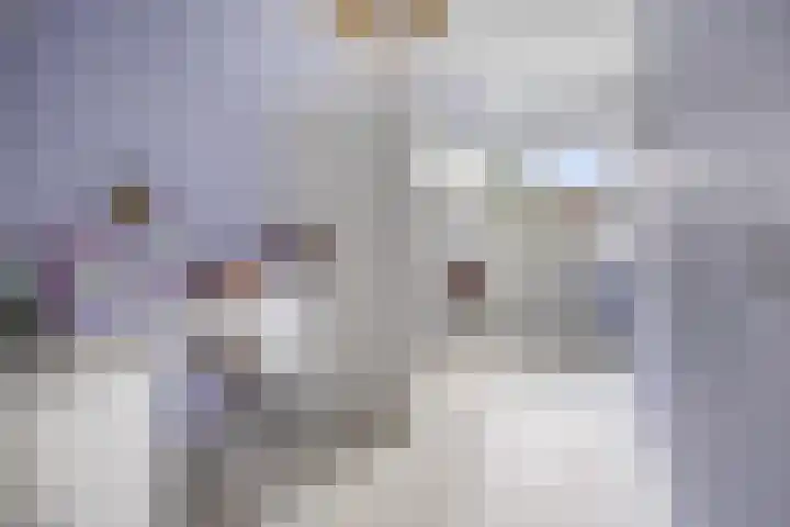 Marimba 36 Kampen thumbnail 24