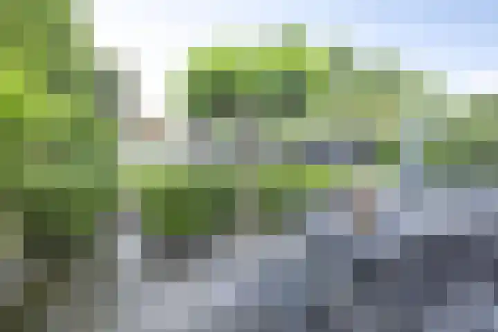 Marimba 36 Kampen thumbnail 30