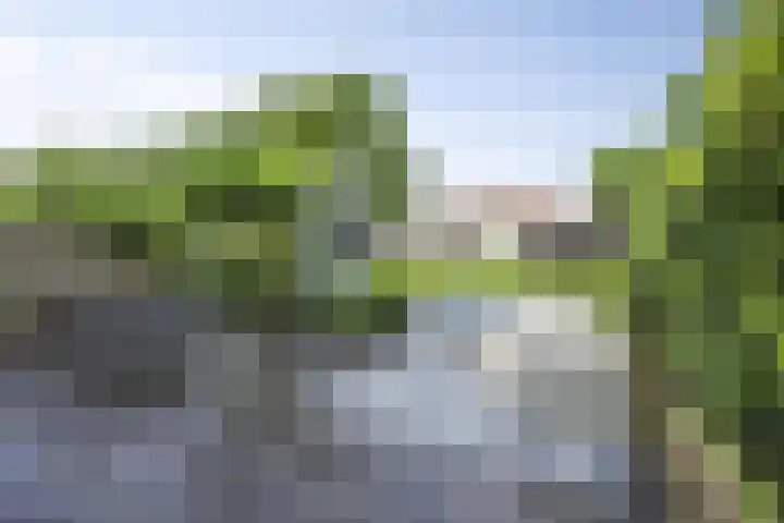 Marimba 36 Kampen thumbnail 31