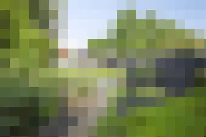 Marimba 36 Kampen thumbnail 32